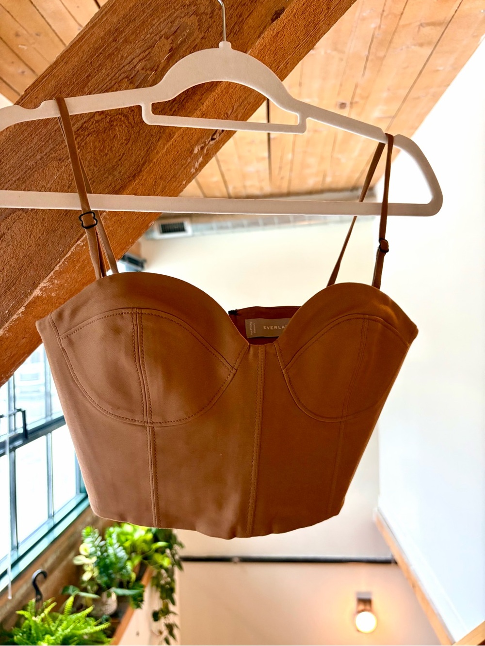 Everlane Bustier Top